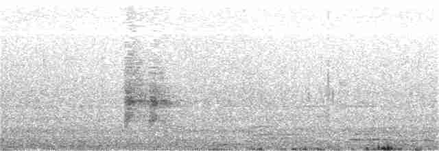 Желтоклювая лазоревая сорока - ML381584991