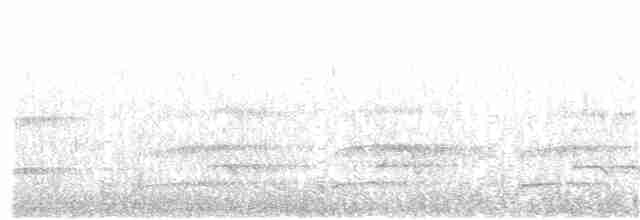 Орлан білоголовий - ML381685201
