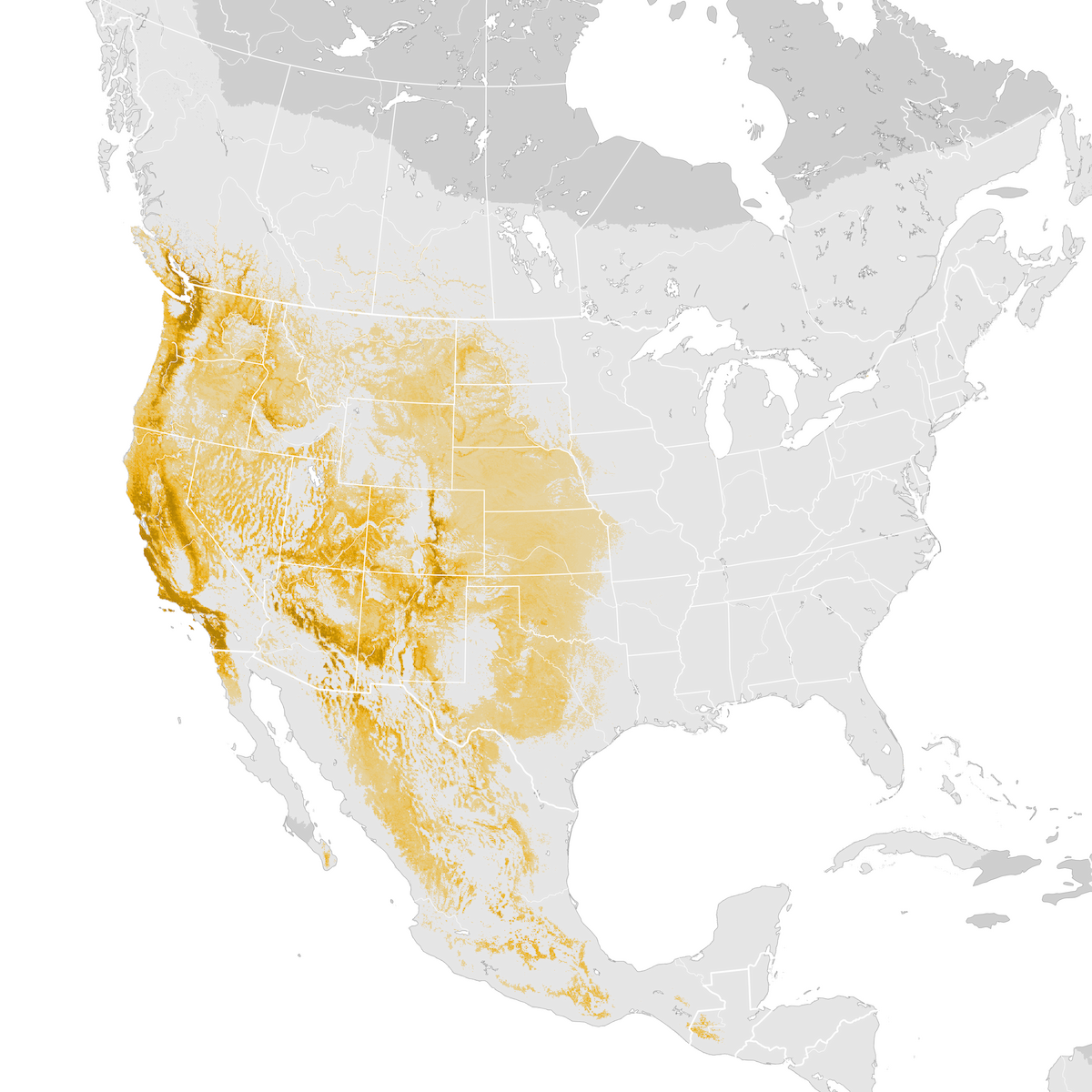 Spotted Towhee Abundance Map Pre Breeding Migration Ebird Status