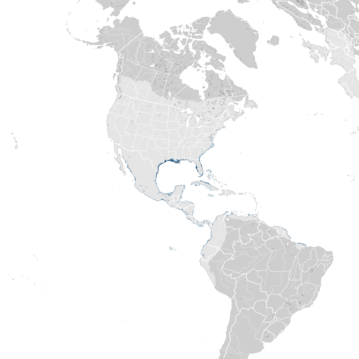 Laughing Gull - Abundance map: Non-breeding - eBird Status and Trends