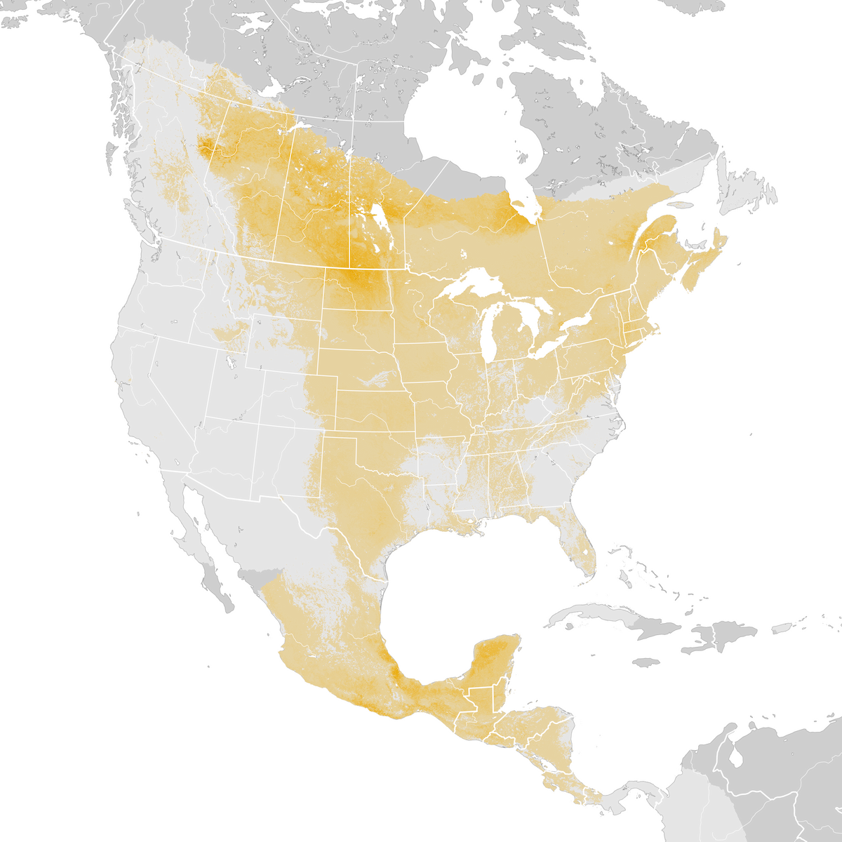 Least Flycatcher Abundance Map Post Breeding Migration Ebird Status And Trends