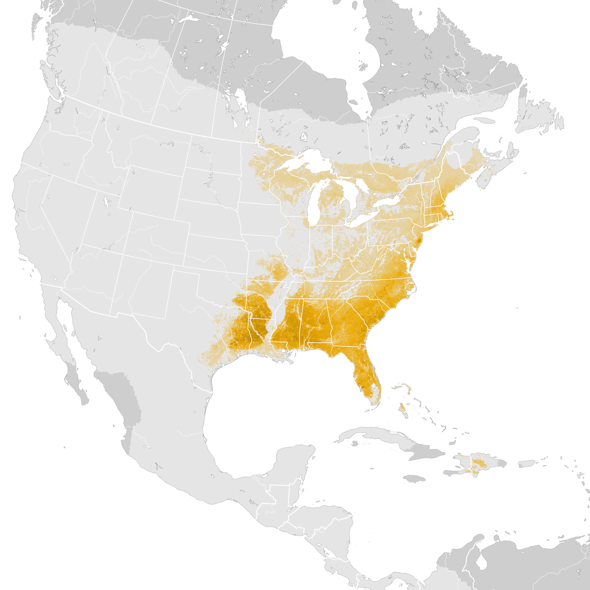 Pine Warbler Abundance Map Post Breeding Migration Ebird Status And Trends