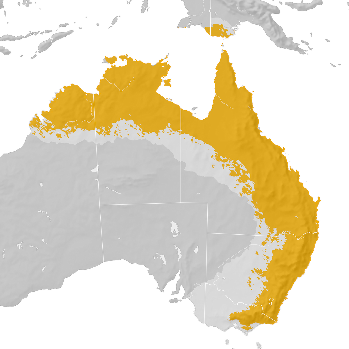 Leaden Flycatcher Range map Postbreeding migration eBird Status and Trends