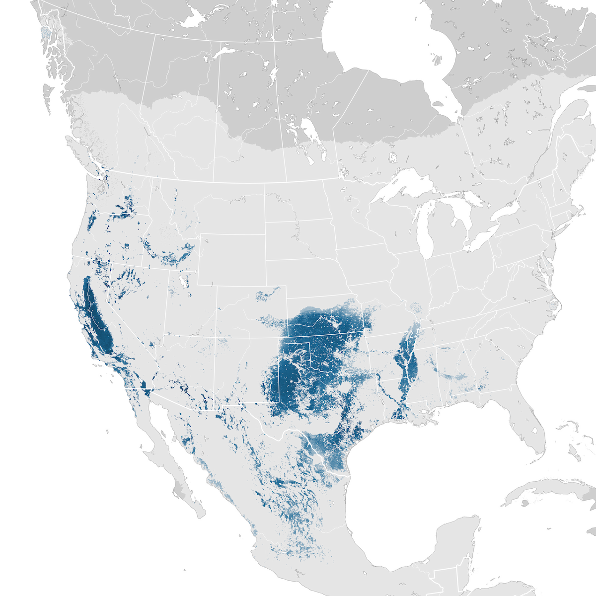 Brewer's Blackbird - Abundance Map: Non-breeding - EBird Status And Trends