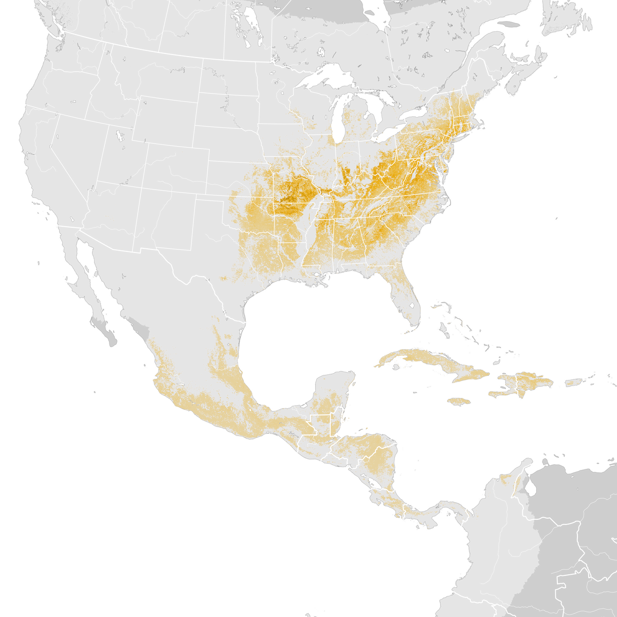 Louisiana Waterthrush Abundance map Prebreeding migration eBird Status and Trends