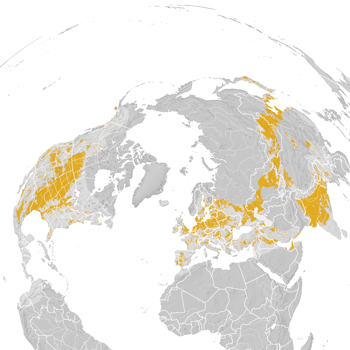 Gadwall - Range map: Pre-breeding migration - eBird Status and Trends