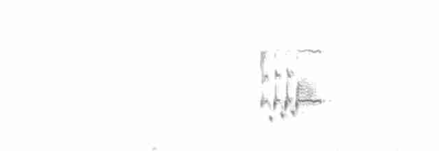 Loggerhead Shrike - ML381711431