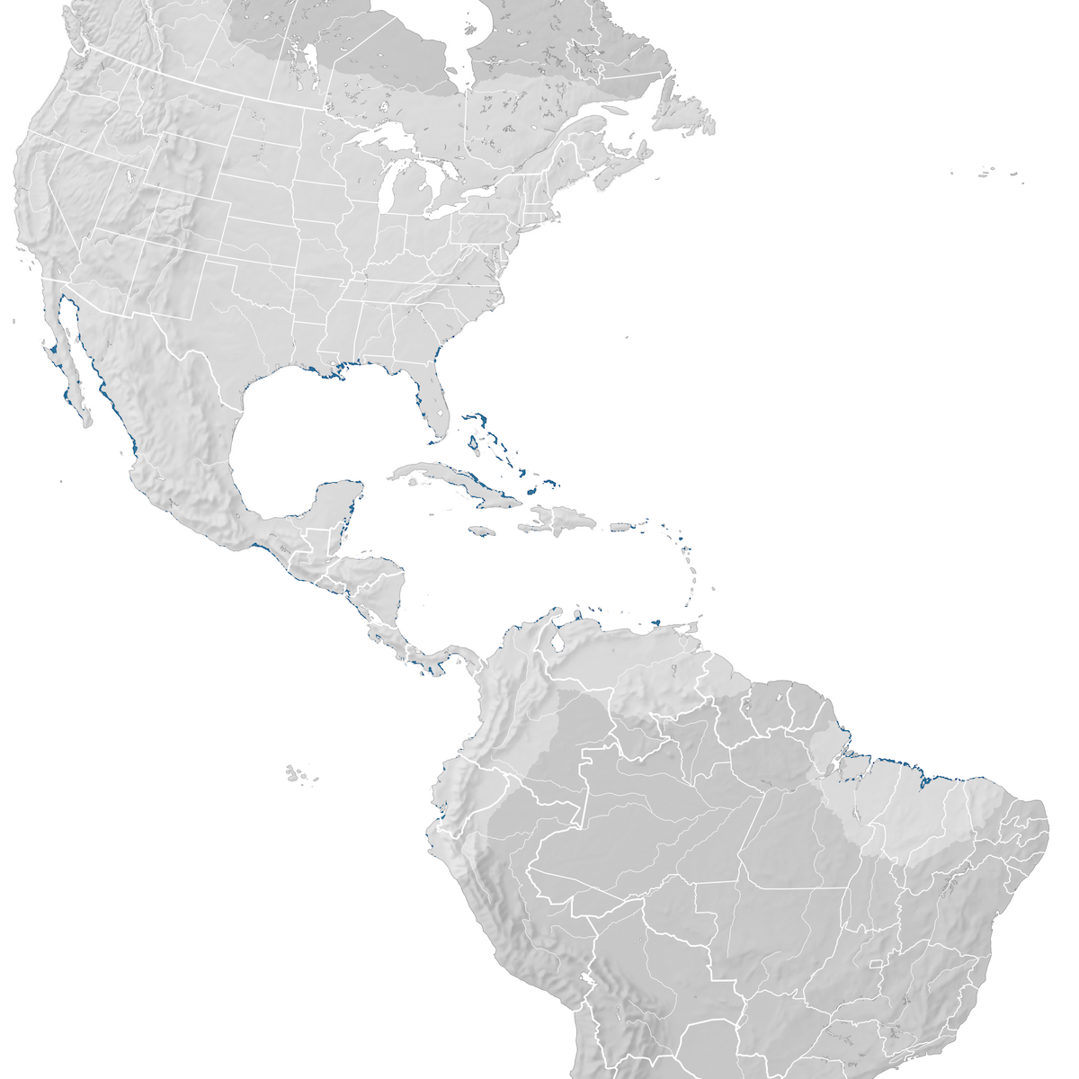 Wilson's Plover - Range map: Non-breeding - eBird Status and Trends