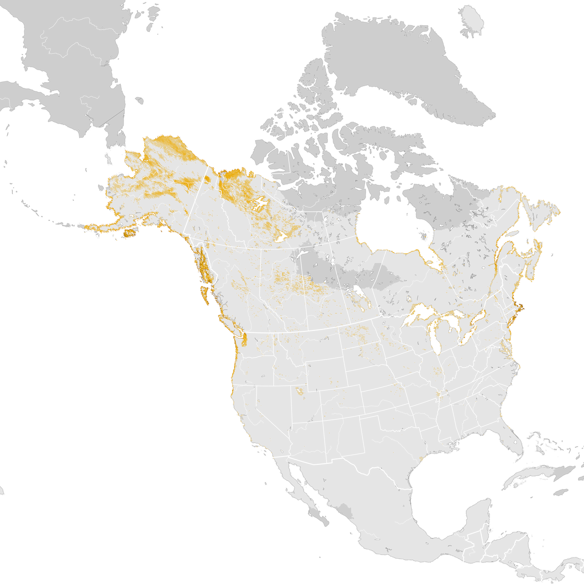 White Winged Scoter Abundance Map Post Breeding Migration Ebird