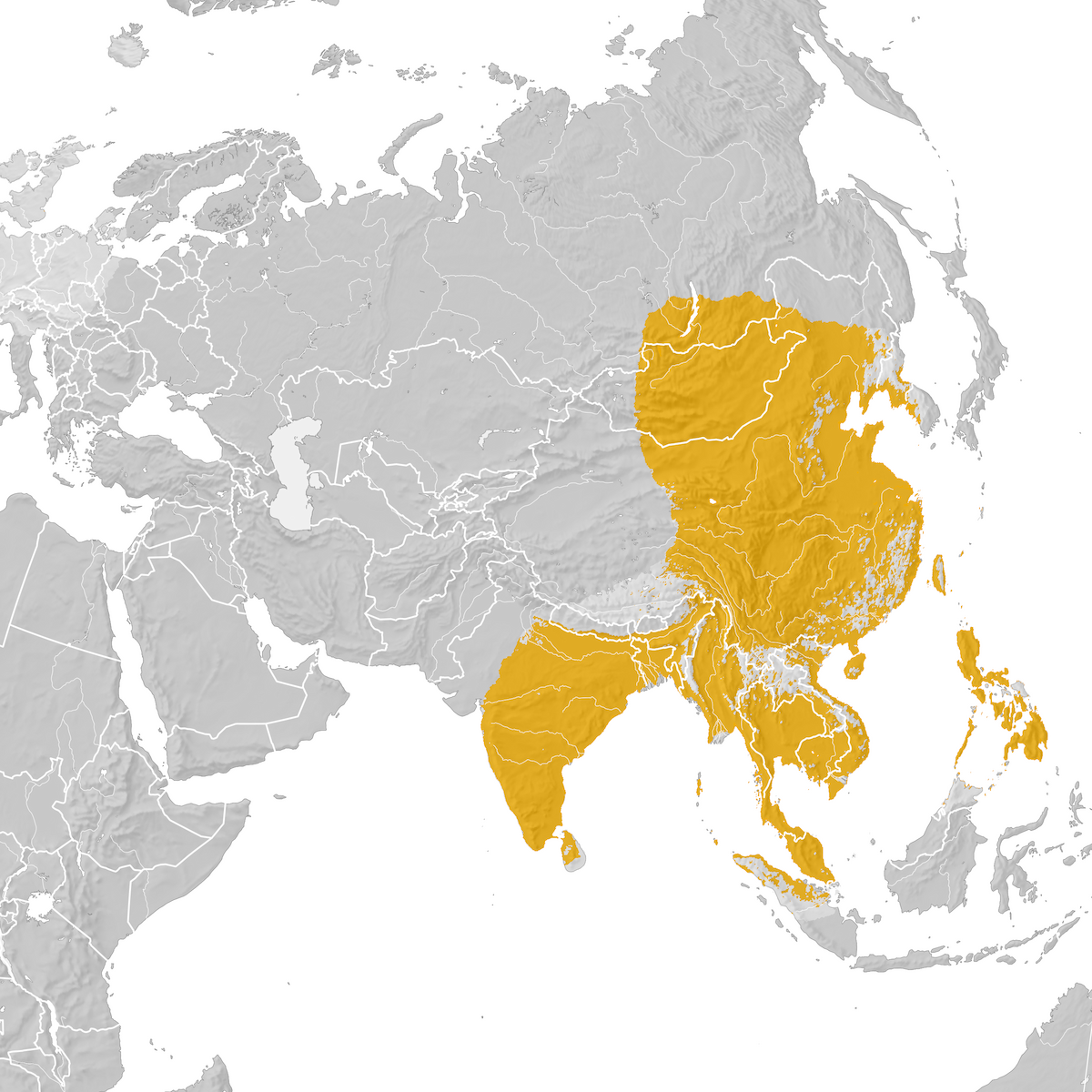 Brown Shrike - Range map: Post-breeding migration - eBird Status and Trends