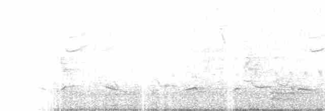 White-browed Meadowlark - ML381745521