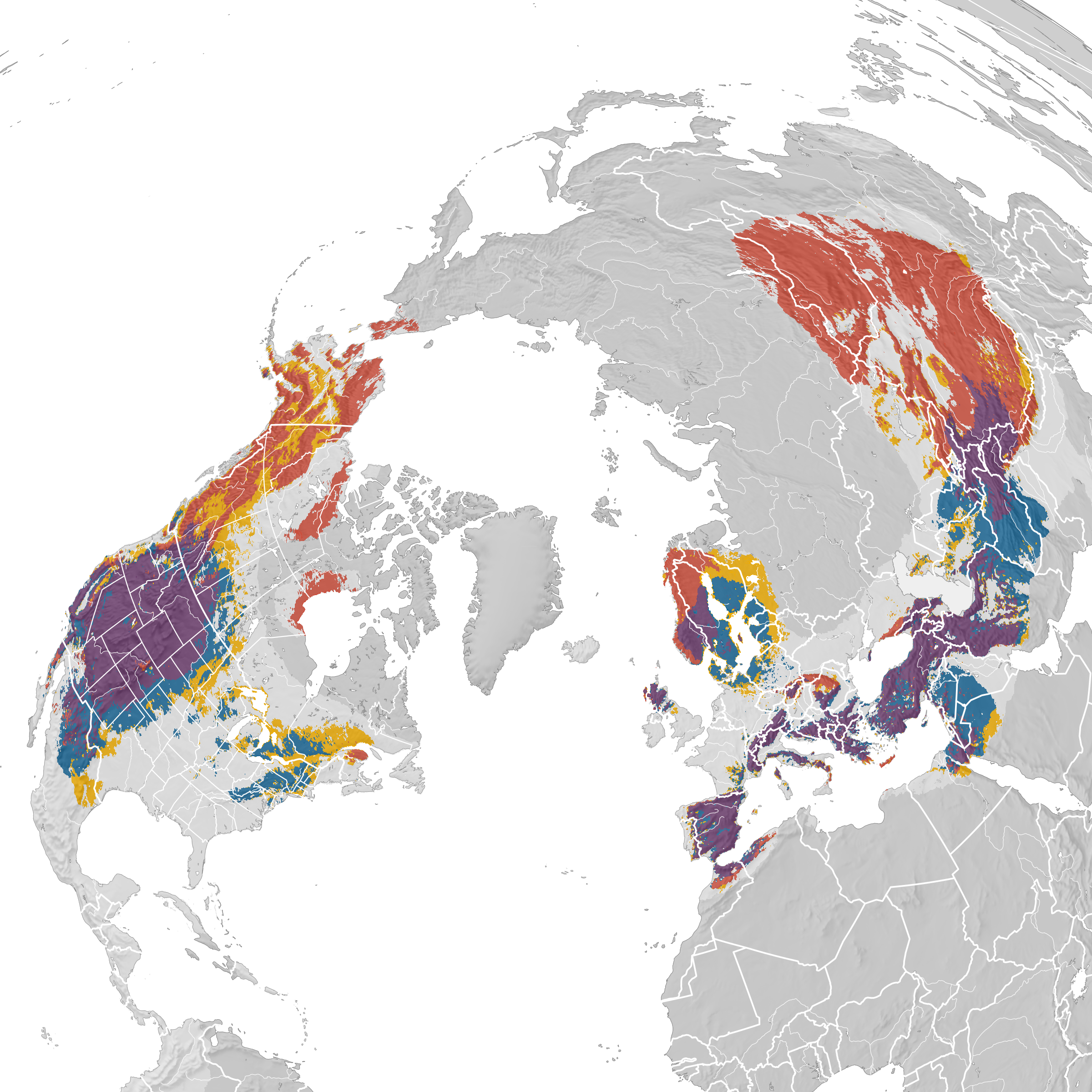 13++ Golden eagle range map