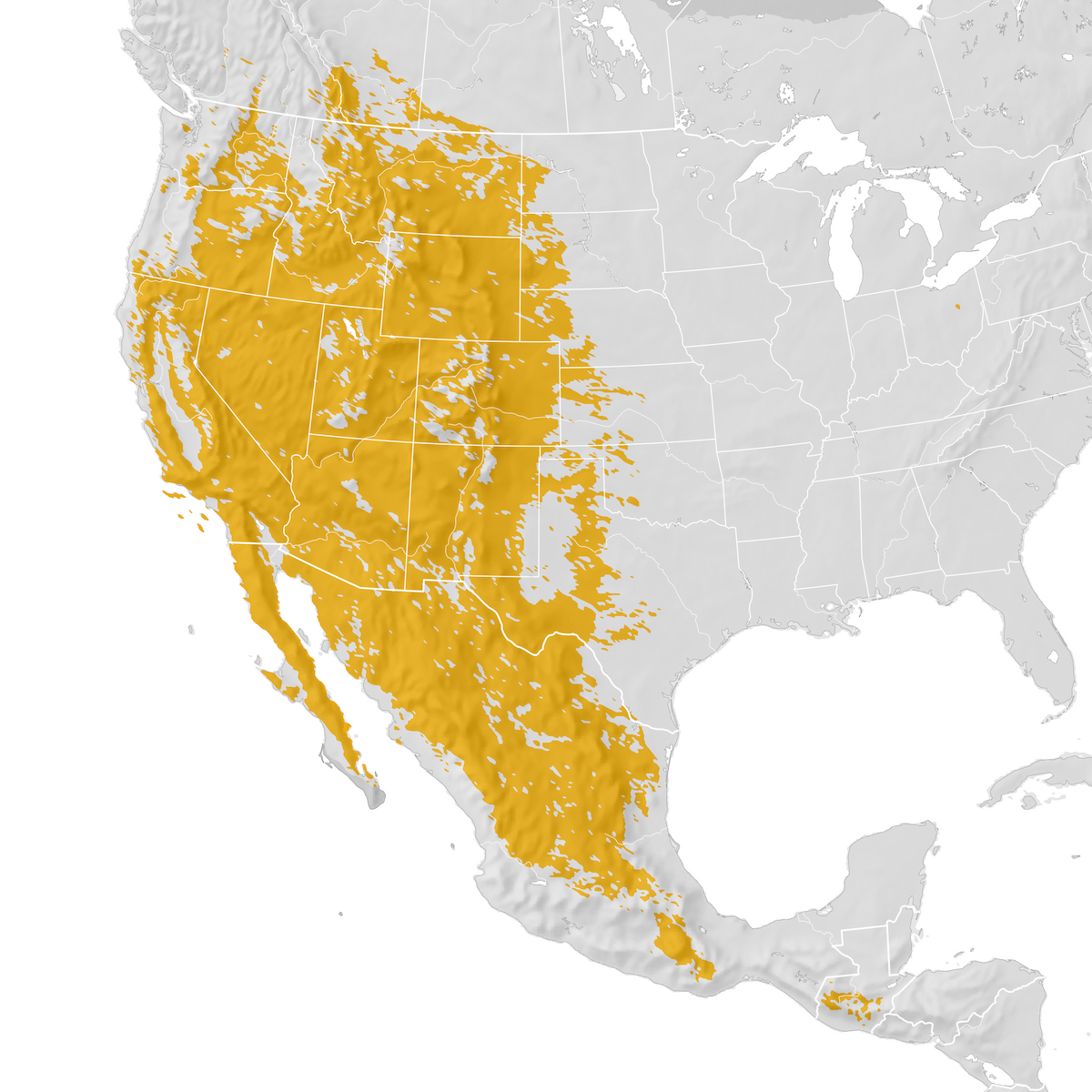 Rock Wren Range map Prebreeding migration eBird Status and Trends