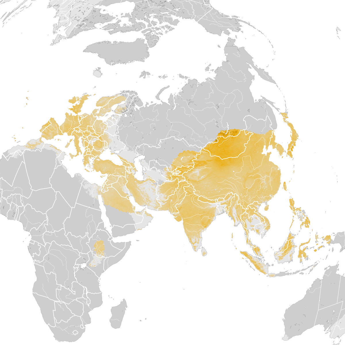 Gray Wagtail - Abundance map: Post-breeding migration - eBird Status ...