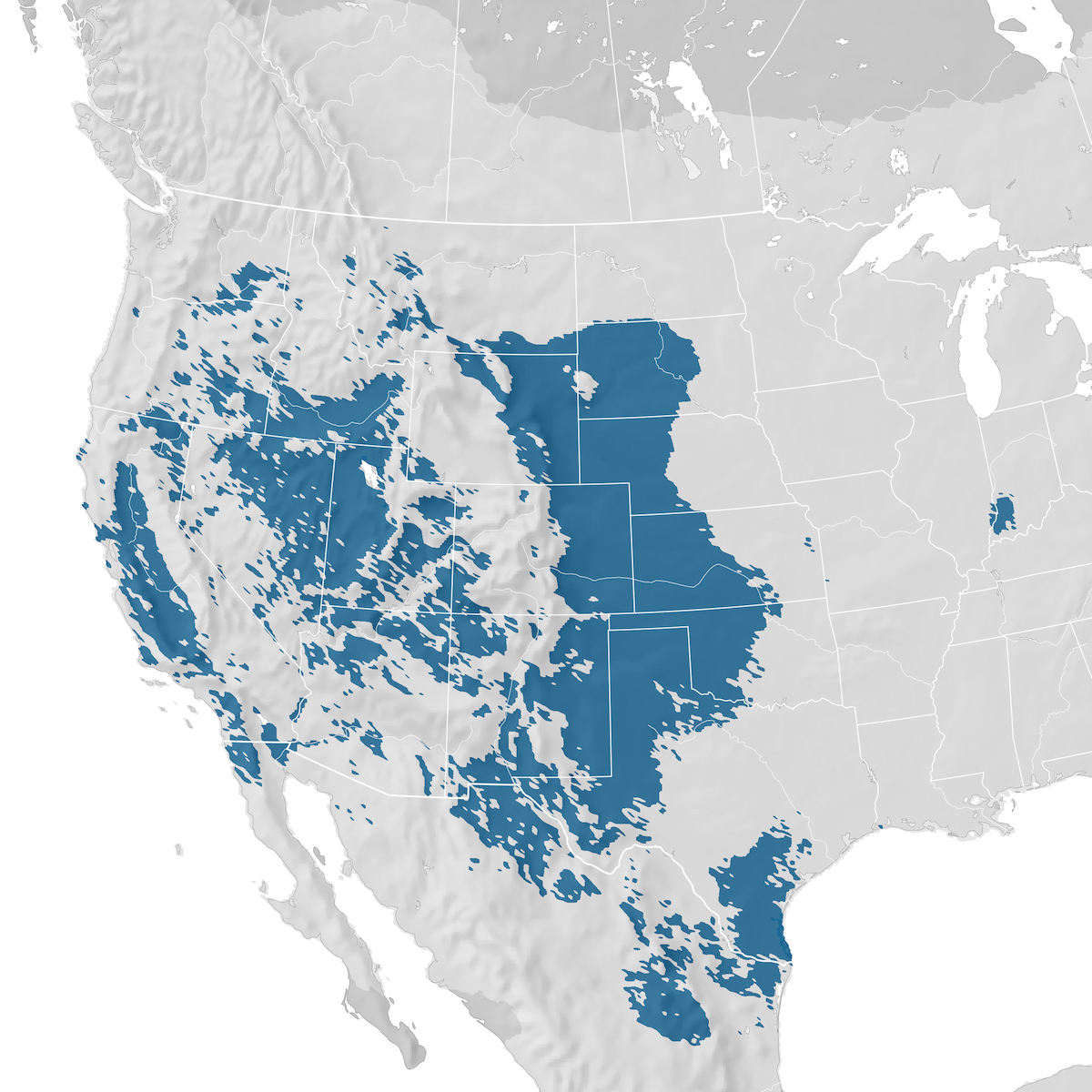 Ferruginous Hawk Range Map Non Breeding Ebird Status And Trends