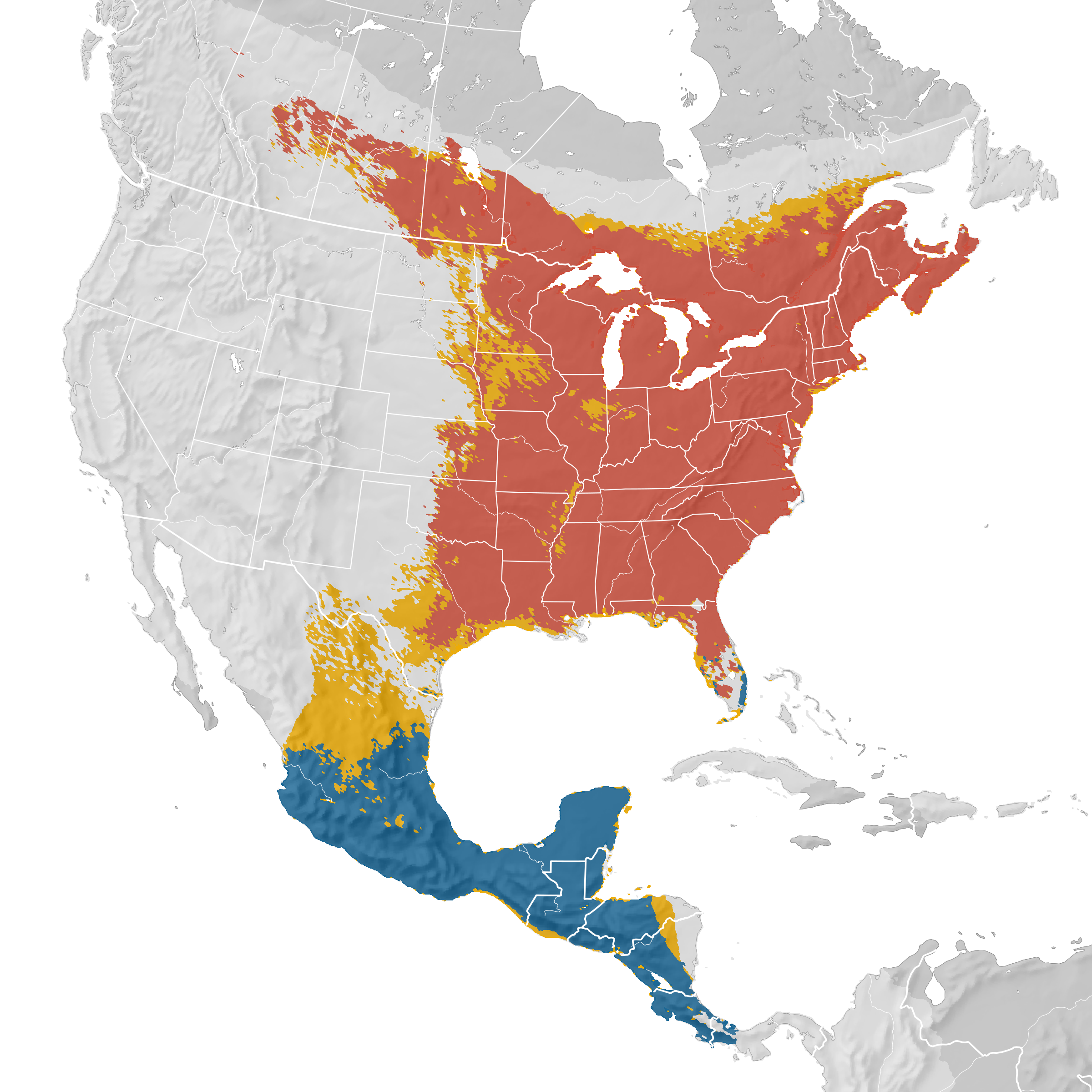 Ruby Throated Hummingbird Map Ruby-Throated Hummingbird - Range Map - Ebird Status And Trends