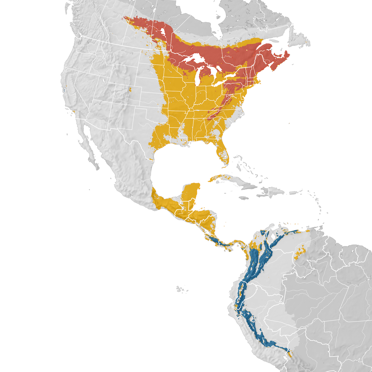 Blackburnian Warbler Range Map Ebird Status And Trends