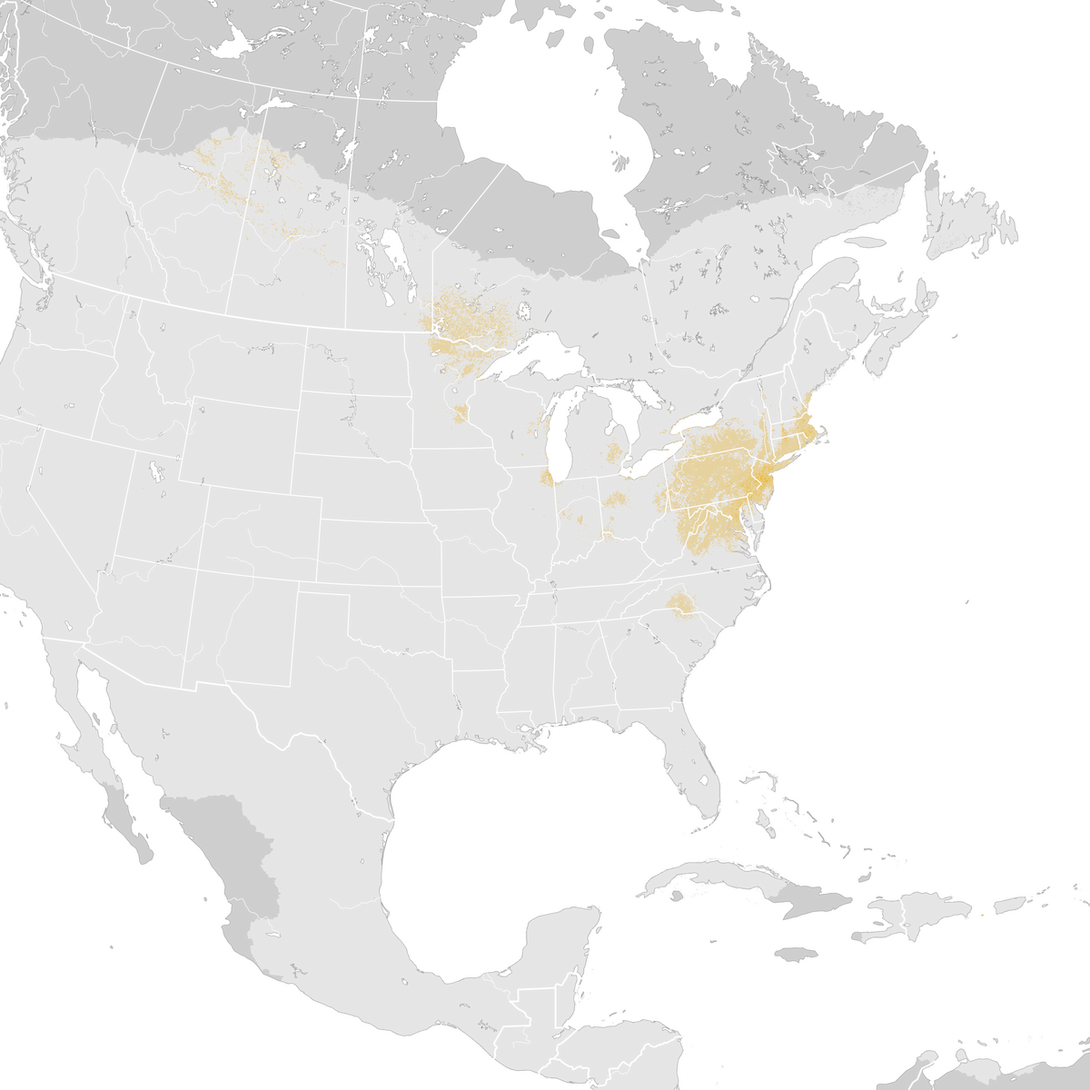 Connecticut Warbler Abundance Map Post Breeding Migration Ebird Status And Trends