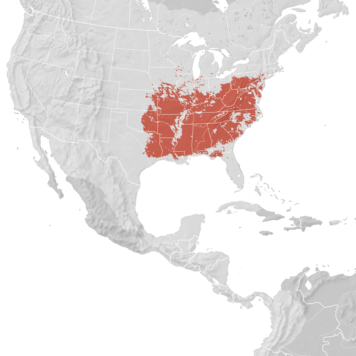 Kentucky Warbler Range map Breeding eBird Status and Trends