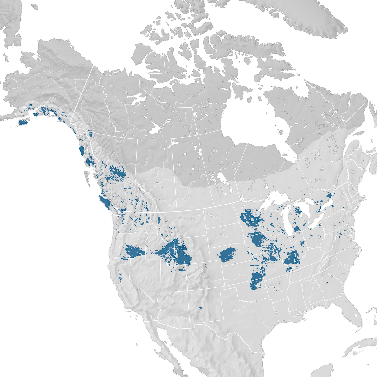 Trumpeter Swan - Range map: Non-breeding - eBird Status and Trends