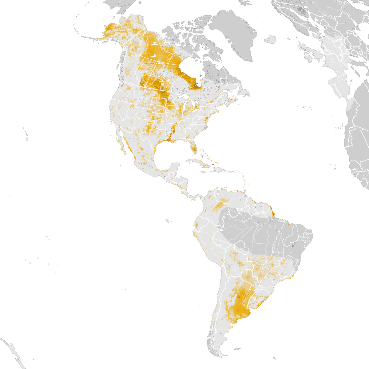 Lesser Yellowlegs - Abundance map: Post-breeding migration - eBird ...