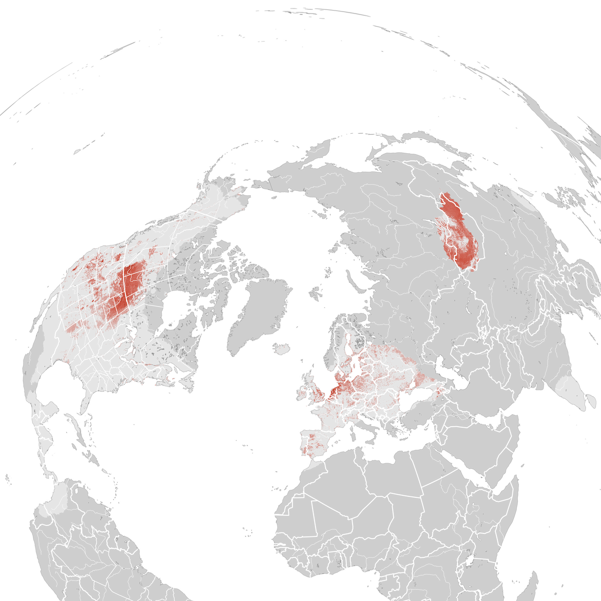 Gadwall - Abundance map: Breeding - eBird Status and Trends