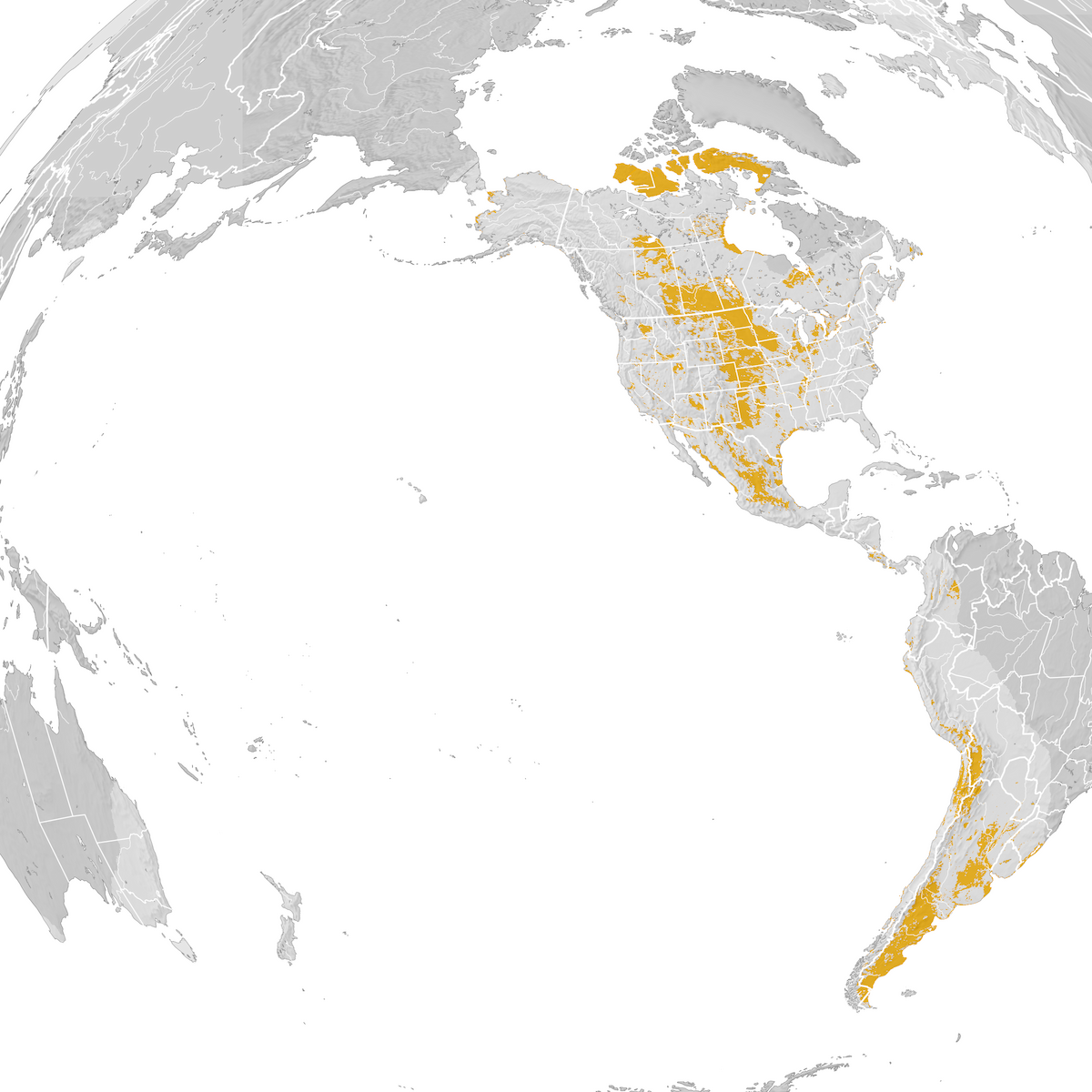 Baird's Sandpiper - Range map: Post-breeding migration - eBird Status ...