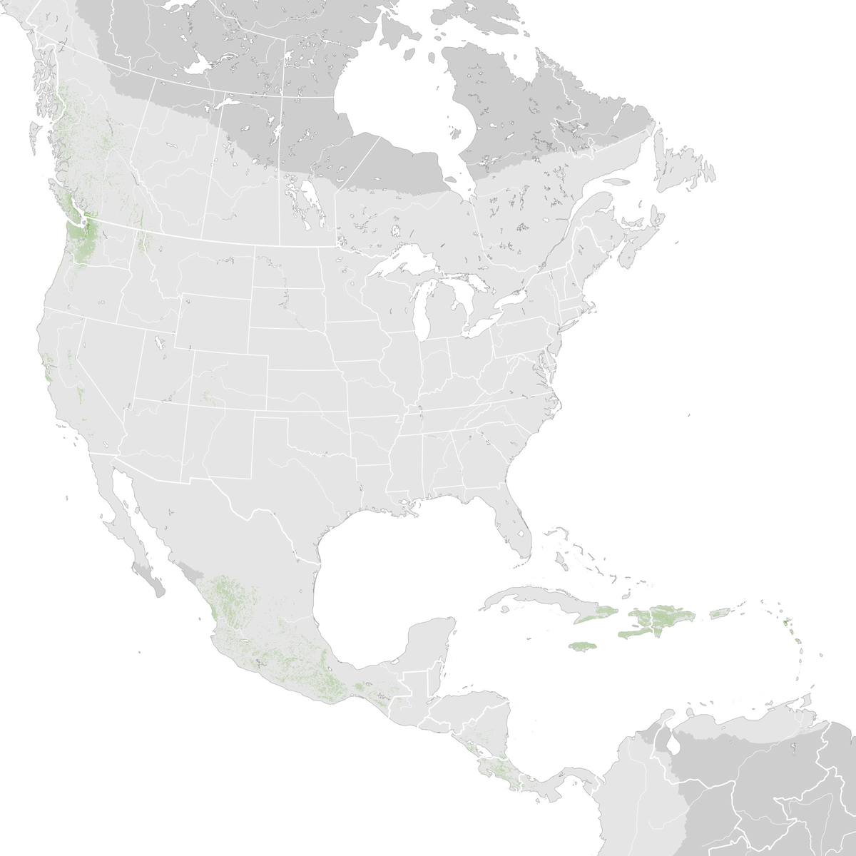 Black Swift Abundance Map Pre Breeding Migration Ebird Status And