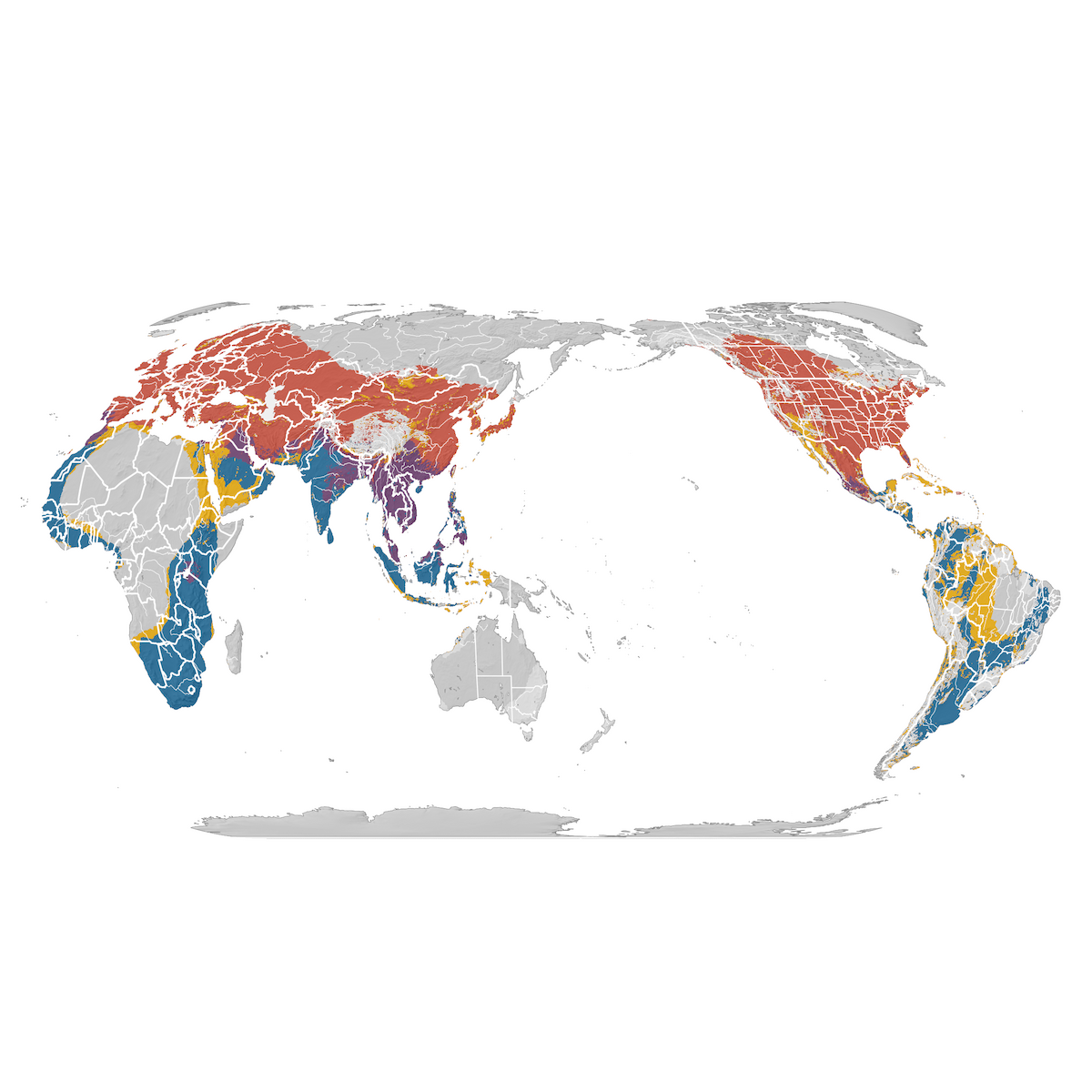 Barn Swallow - Range map - eBird Status and Trends