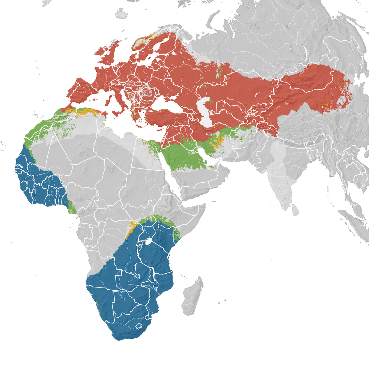 Common Swift Range map eBird Status and Trends