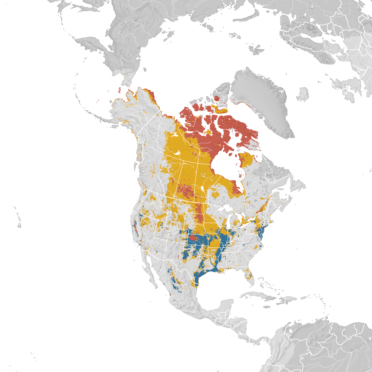 Snow Goose Flyway Map Snow Goose - Range Map - Ebird Status And Trends