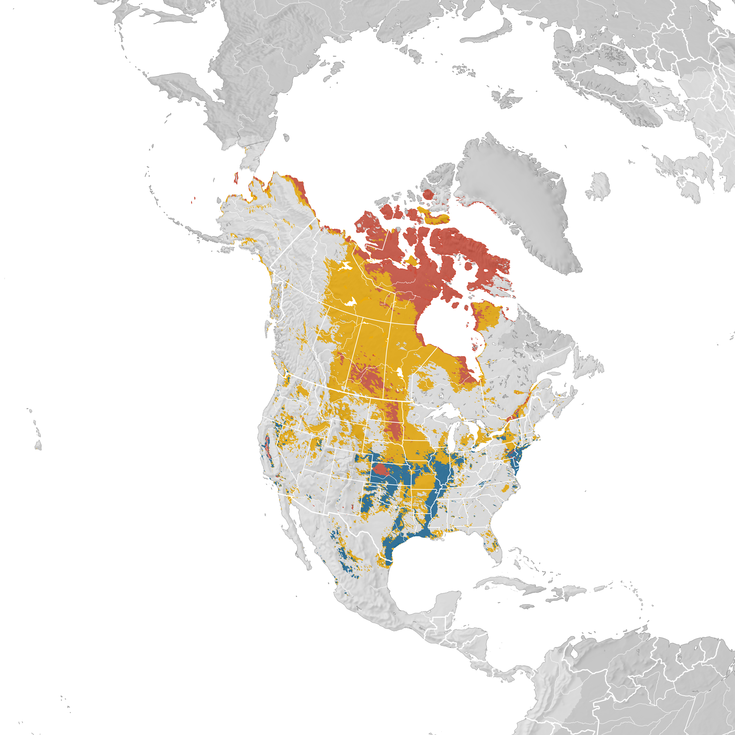 Snow Geese Migration Map Snow Goose - Range Map - Ebird Status And Trends