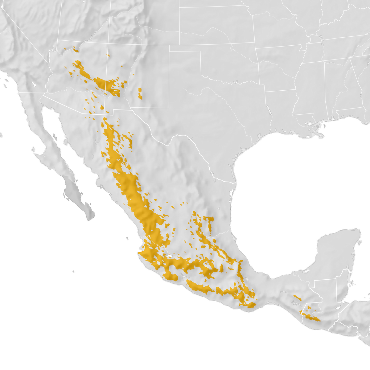 Red-faced Warbler - Range Map: Post-breeding Migration - EBird Status ...