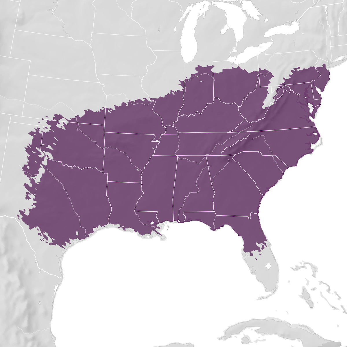 Carolina Chickadee - Range map - eBird Status and Trends
