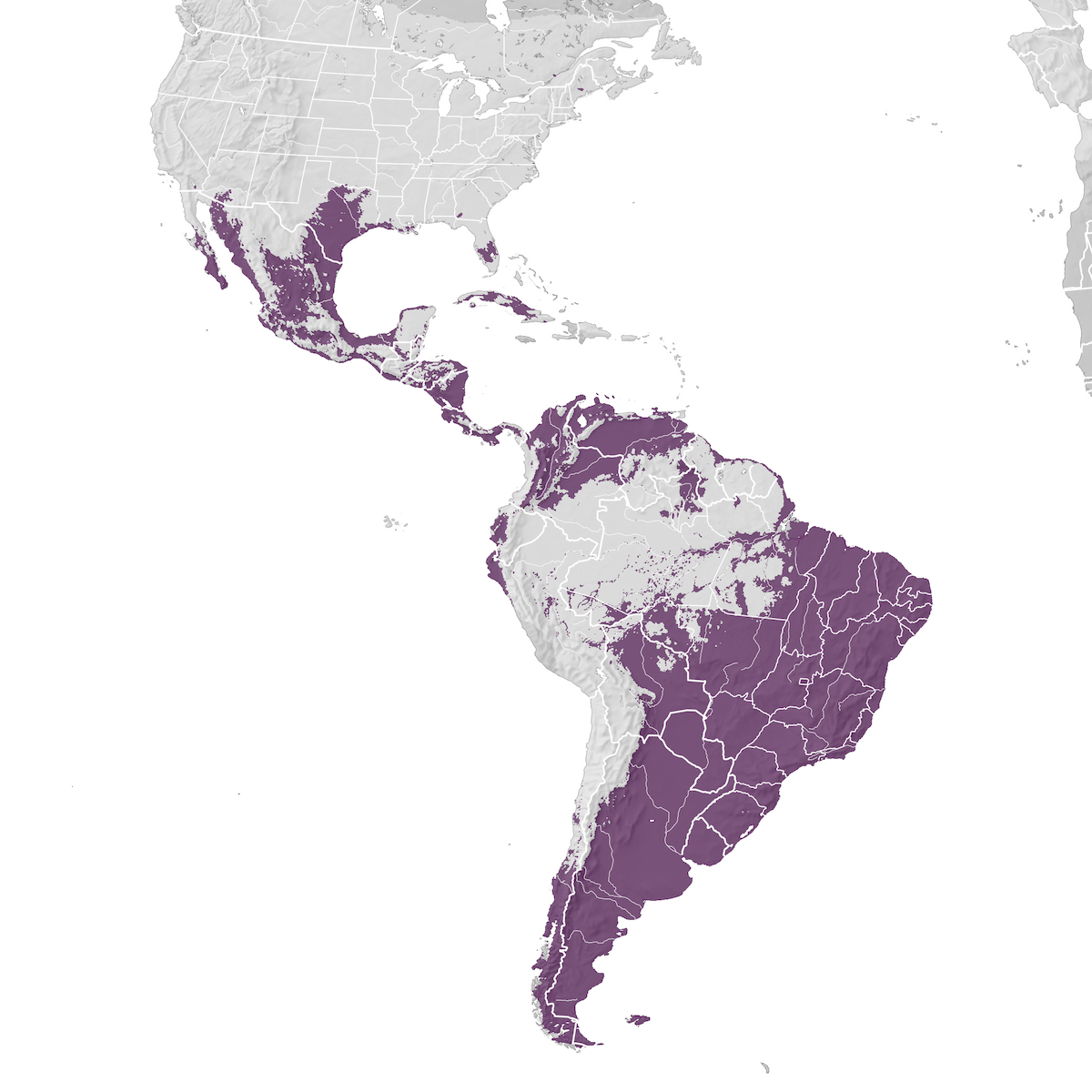 Crested Caracara - Range map - eBird Status and Trends