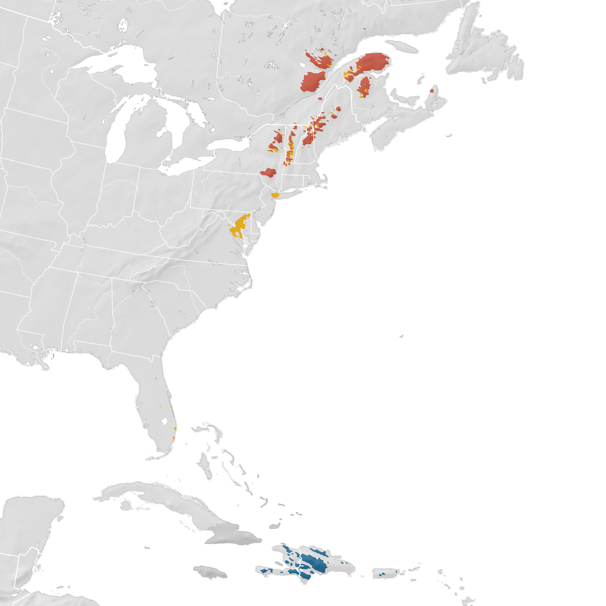 Bicknell's Thrush - Range map - eBird Status and Trends