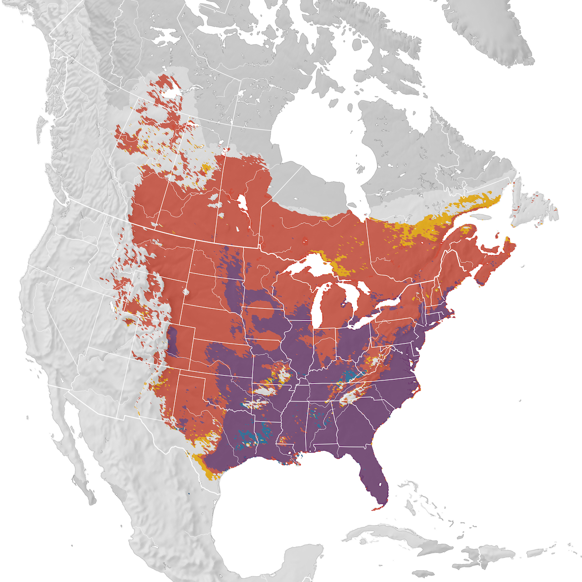 Common Grackle - Range map - eBird Status and Trends