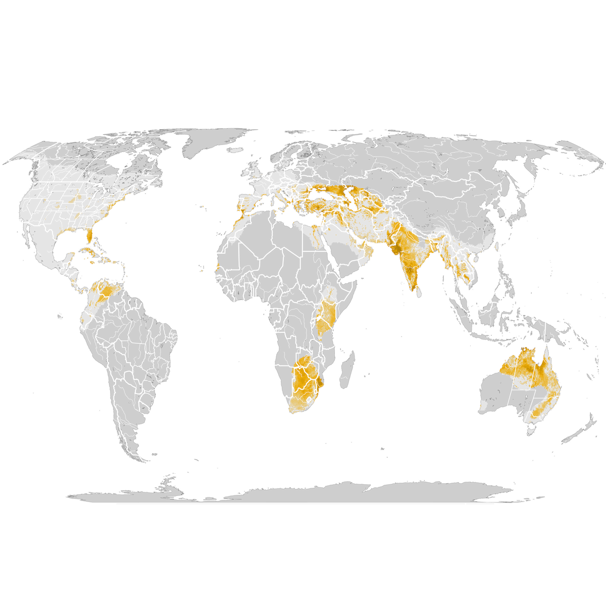 Glossy Ibis - Abundance map: Pre-breeding migration - eBird Status and ...