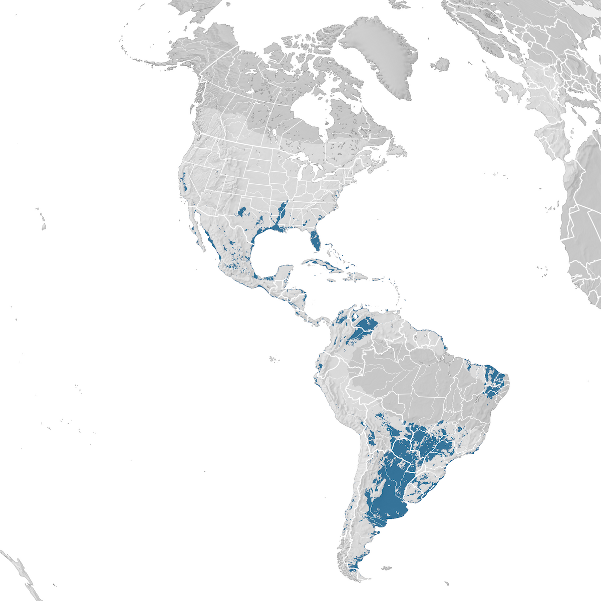 Lesser Yellowlegs - Range map: Non-breeding - eBird Status and Trends