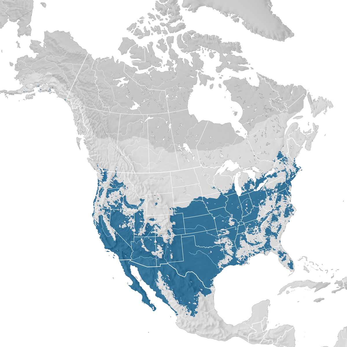 White Crowned Sparrow Range Map Non Breeding Ebird Status And Trends