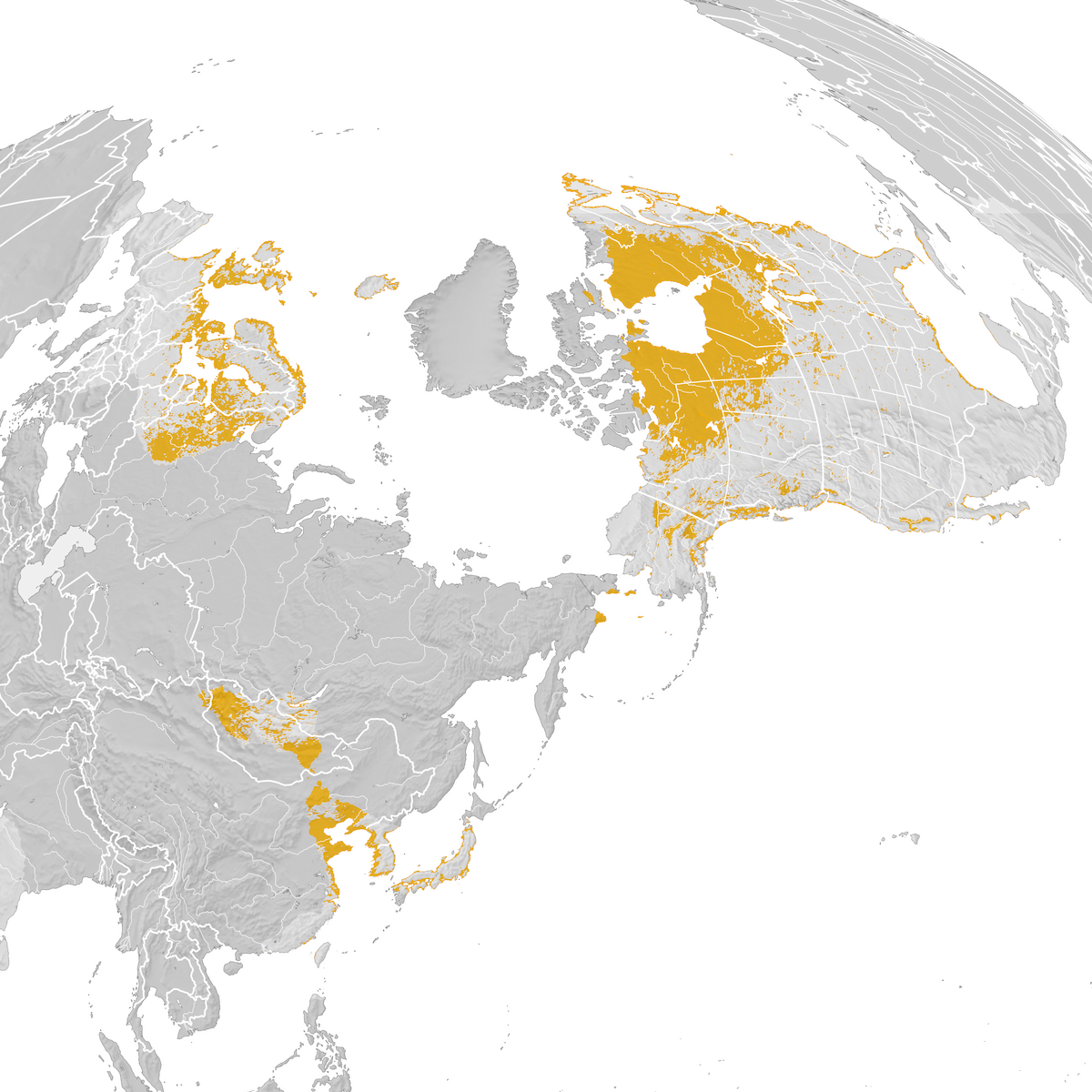Herring Gull Range map Prebreeding migration eBird Status and Trends
