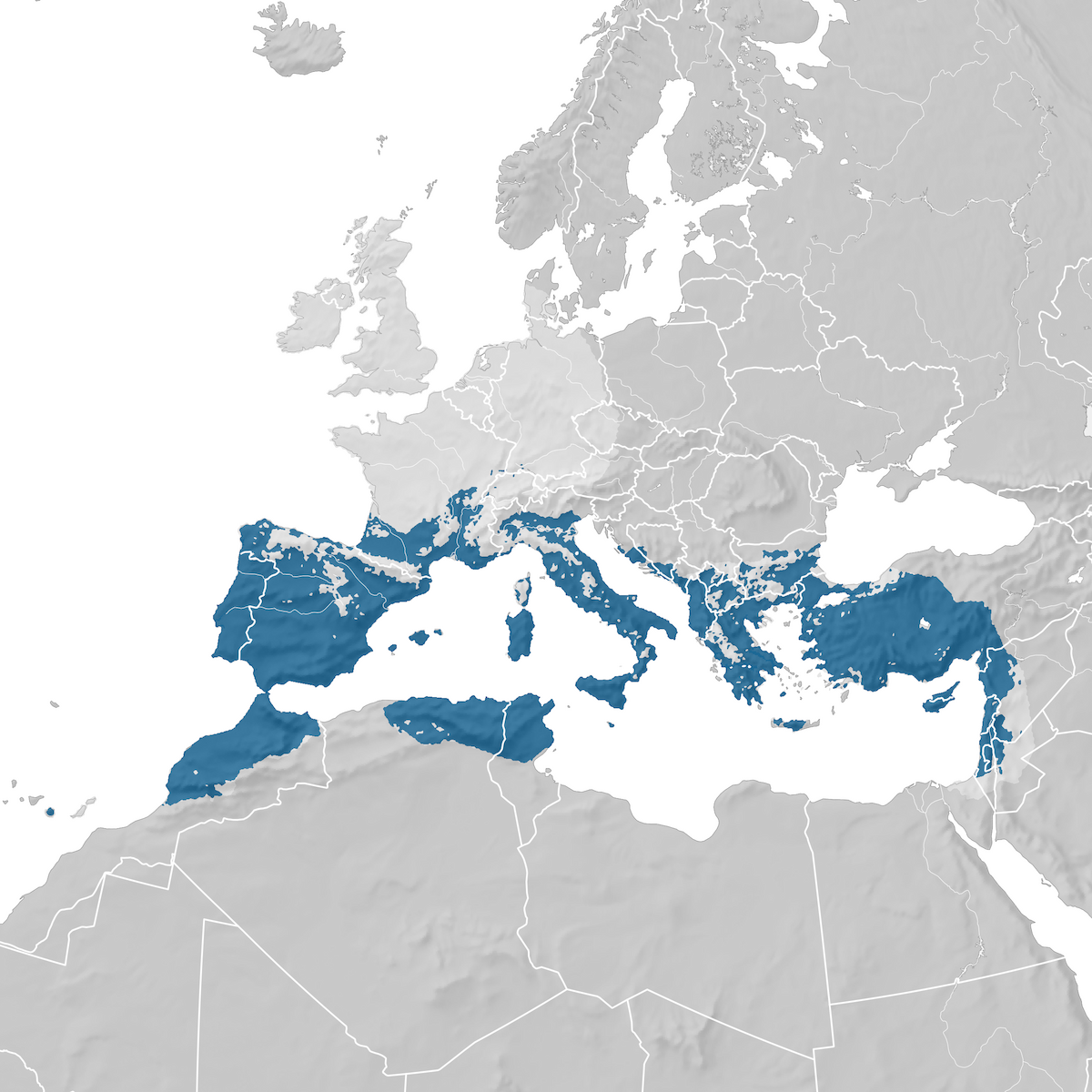 European Serin - Range Map: Non-breeding - EBird Status And Trends