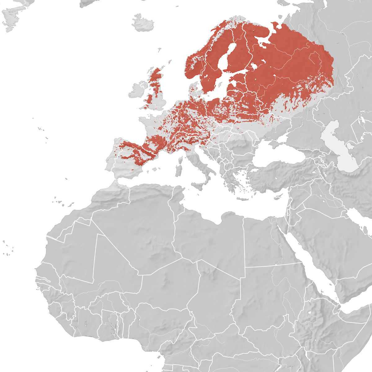 European Pied Flycatcher - Range Map: Breeding - Ebird Status And Trends