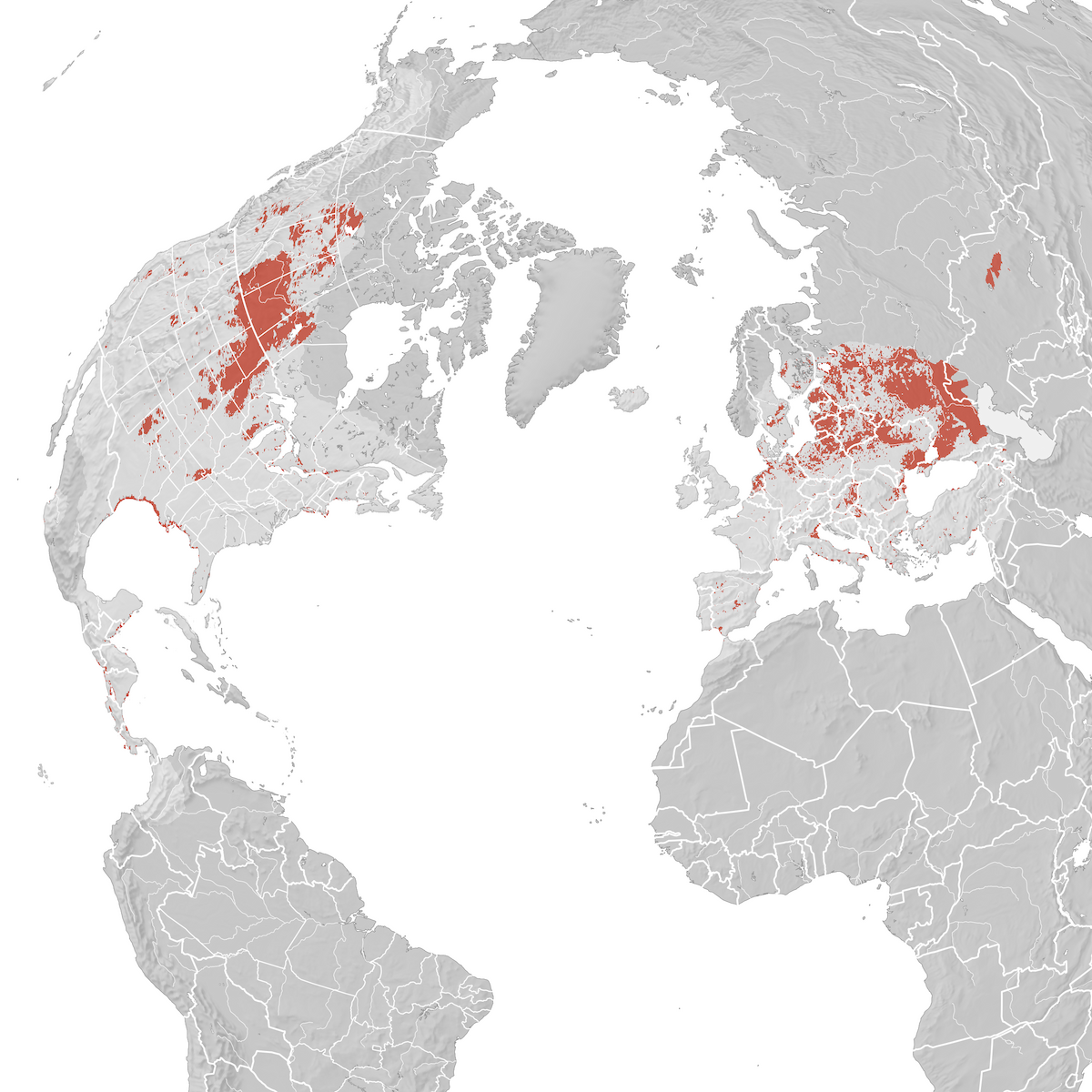 Black Tern - Range map: Breeding - eBird Status and Trends