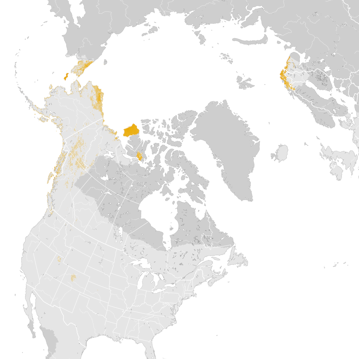 Yellowbilled Loon Abundance map Postbreeding migration eBird