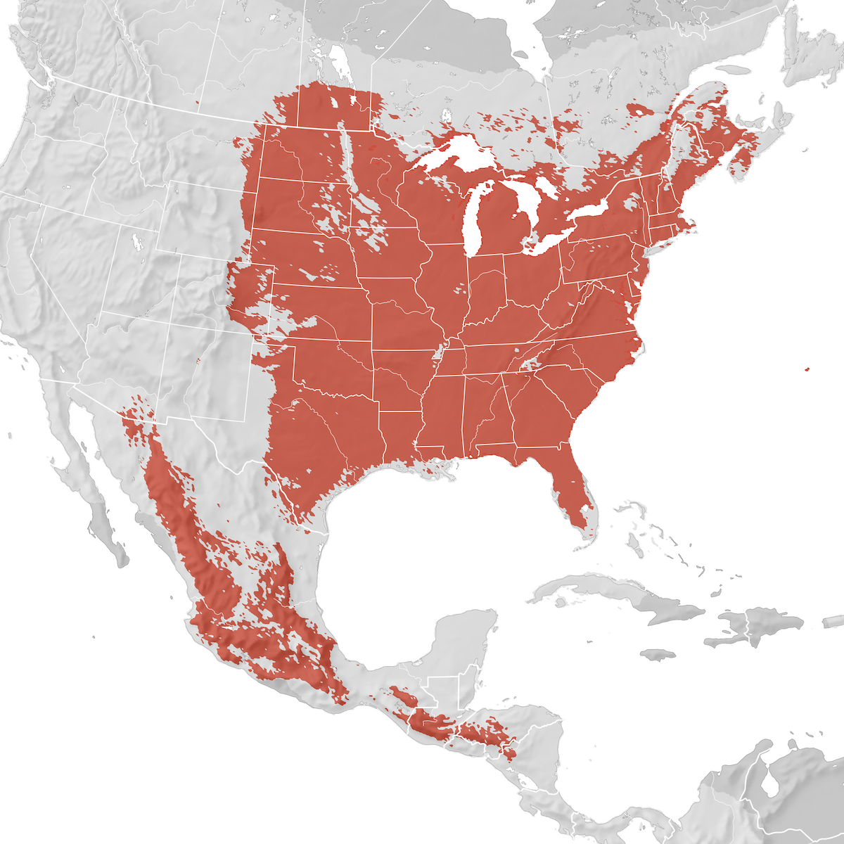 Eastern Bluebird Range Map Breeding Ebird Status And Trends