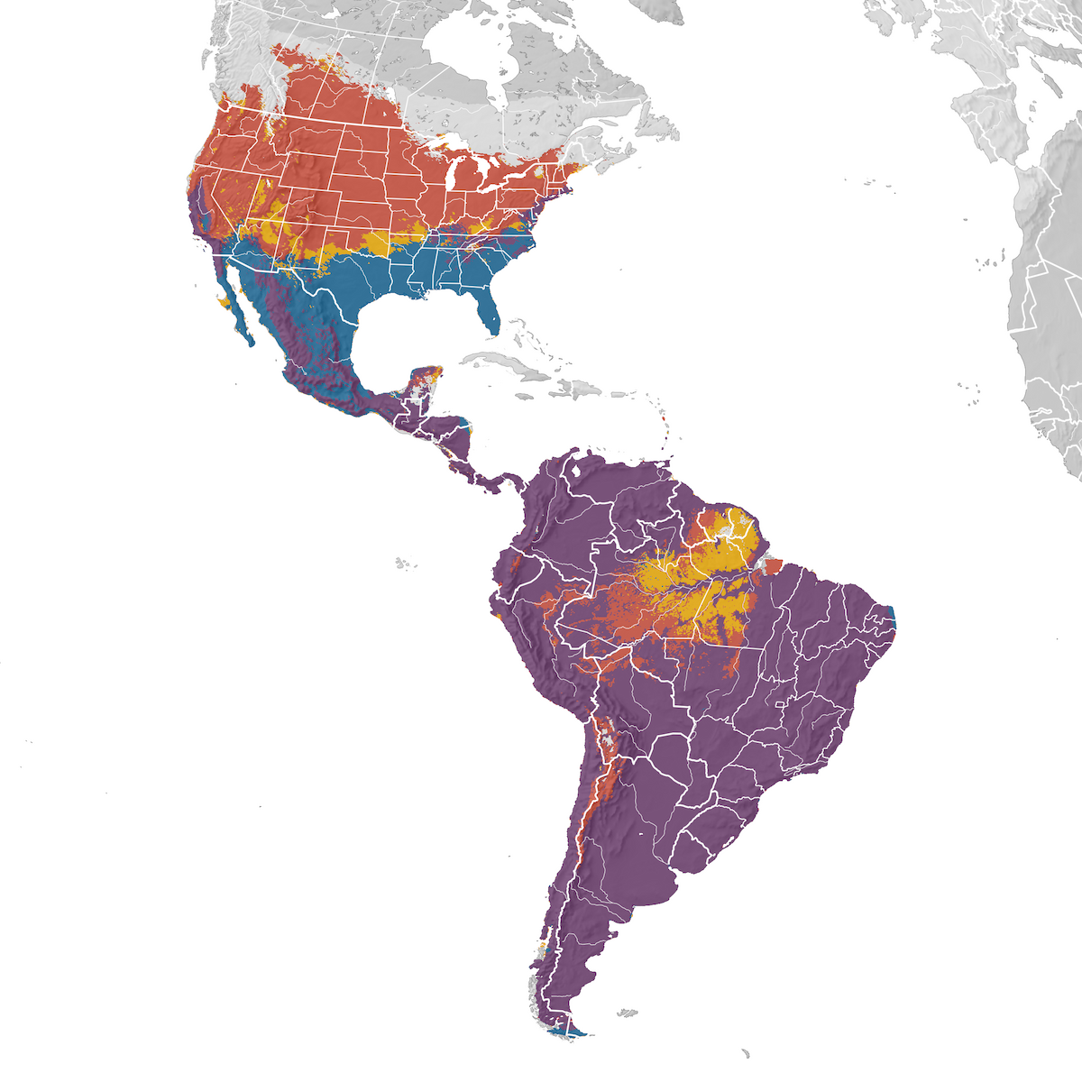 House Wren Range map eBird Status and Trends