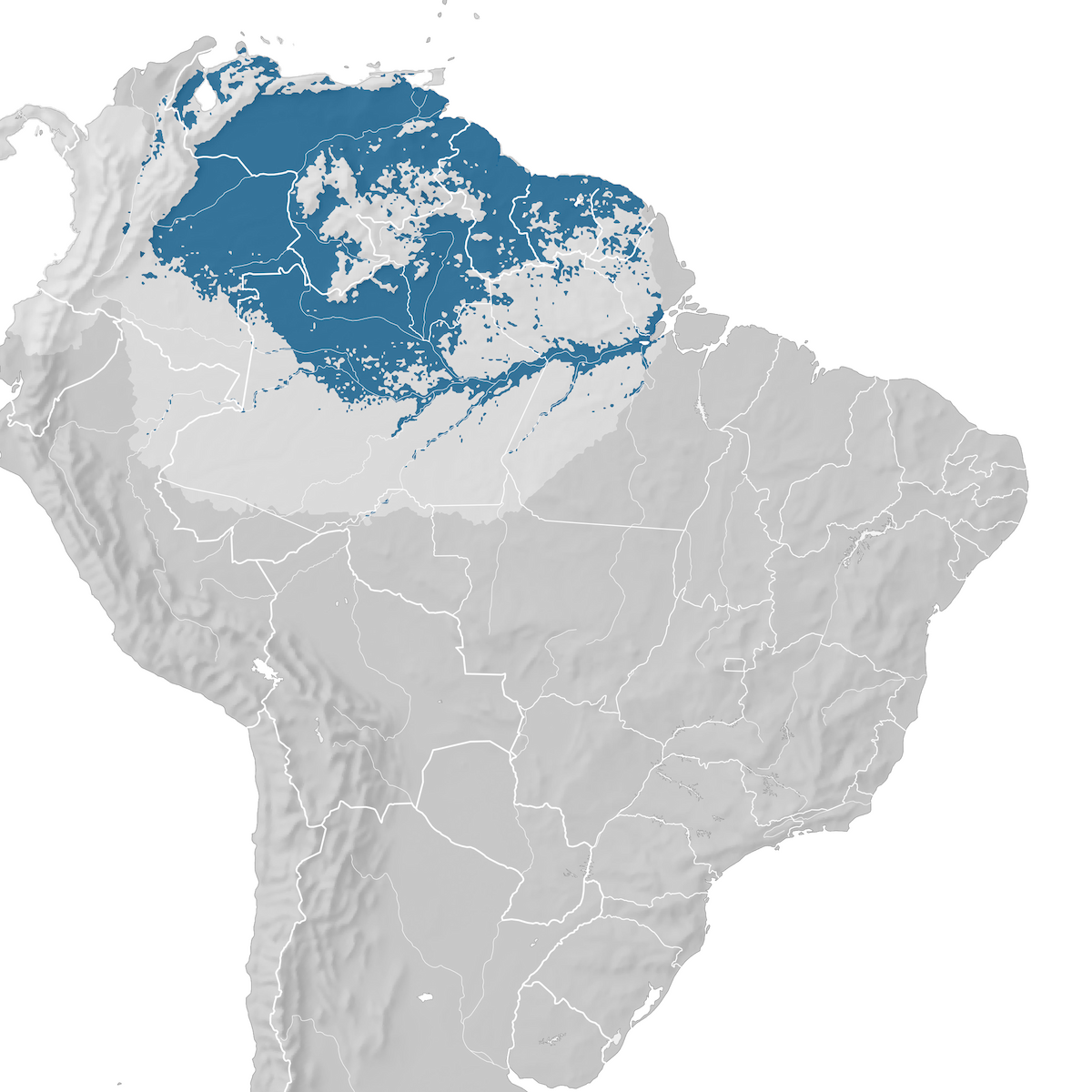 Lined Seedeater Range Map Non Breeding Ebird Status And Trends