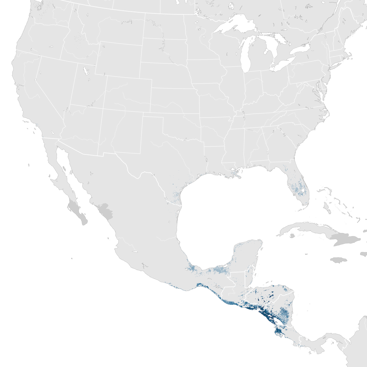 Scissor Tailed Flycatcher Abundance Map Non Breeding Ebird Status And Trends