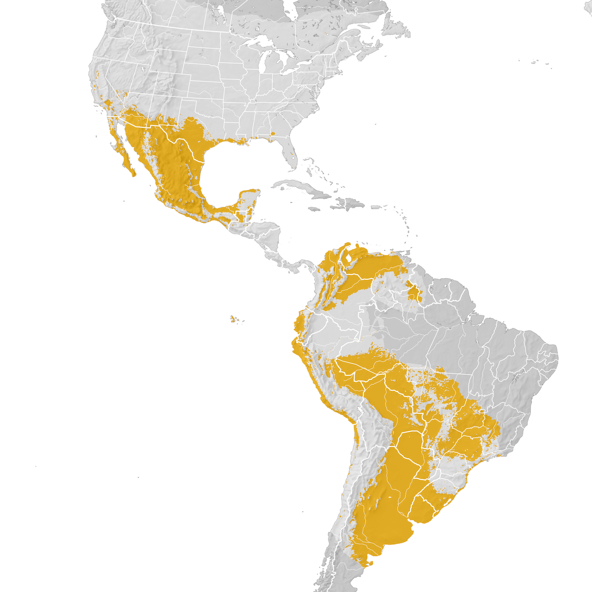 Vermilion Flycatcher Range Map Post Breeding Migration Ebird Status And Trends